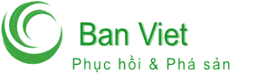 CÔNG TY HỢP DANH QUẢN LÝ THANH LÝ TÀI SẢN BẢN VIỆT